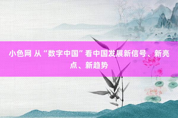 小色网 从“数字中国”看中国发展新信号、新亮点、新趋势