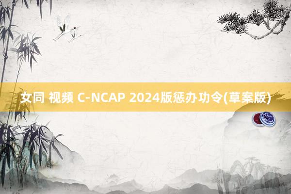 女同 视频 C-NCAP 2024版惩办功令(草案版)