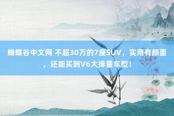 蝴蝶谷中文网 不超30万的7座SUV，实用有颜面，还能买到V6大排量车型！