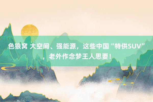 色狼窝 大空间、强能源，这些中国“特供SUV”，老外作念梦王人思要！