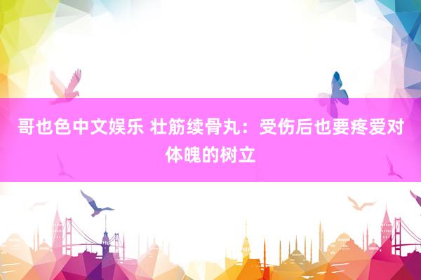 哥也色中文娱乐 壮筋续骨丸：受伤后也要疼爱对体魄的树立