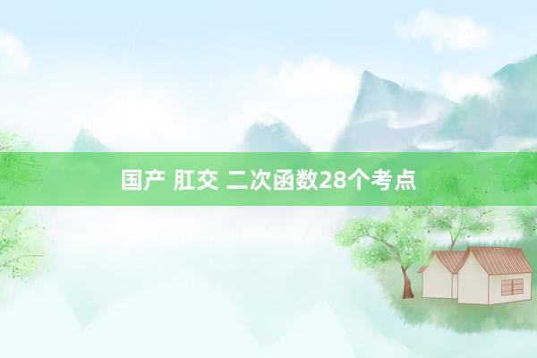 国产 肛交 二次函数28个考点