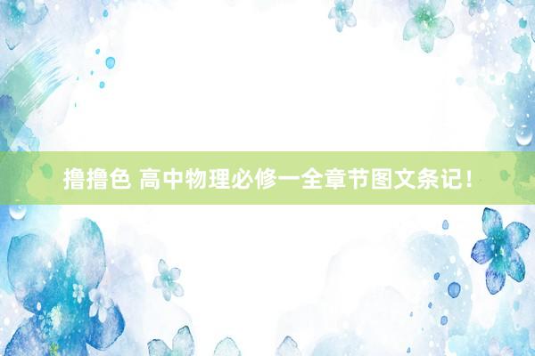 撸撸色 高中物理必修一全章节图文条记！