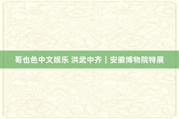 哥也色中文娱乐 洪武中齐｜安徽博物院特展