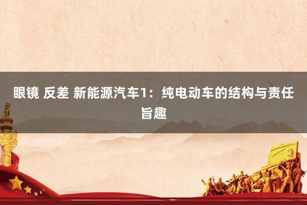 眼镜 反差 新能源汽车1：纯电动车的结构与责任旨趣