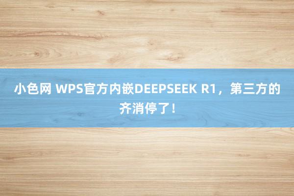 小色网 WPS官方内嵌DEEPSEEK R1，第三方的齐消停了！